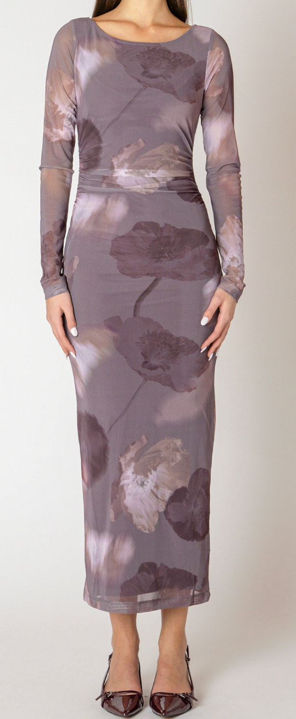 Printed Mesh Maxi Dress