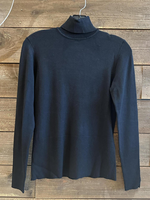 Dollie L/S Turtleneck Sweater