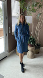 Denim Schiffer Dress