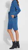 Knit Denim Schiffer Dress