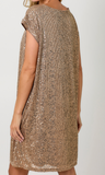 Boat Neck Sequin Shift Dress